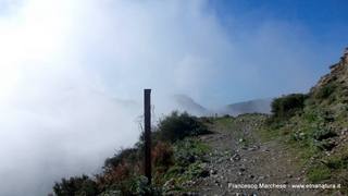 nte Scuderi-23-11-2014 09-48-36